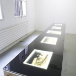 Table Lumineuse négatif sur papier 1848 / Exposition Adolphe Humbert de Molard / 2002